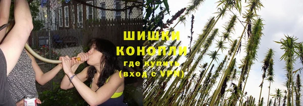 сатива Михайлов