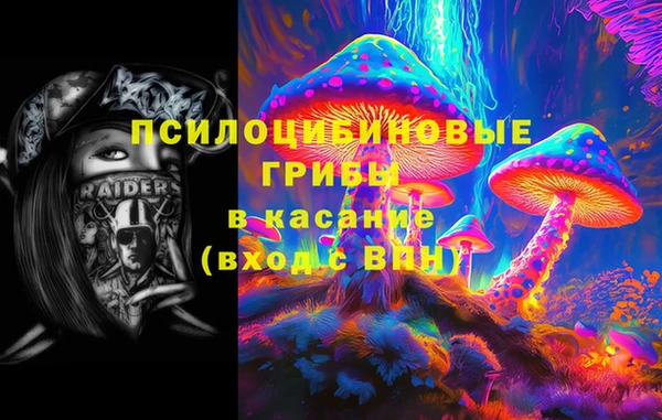 не бодяженный Михайловск
