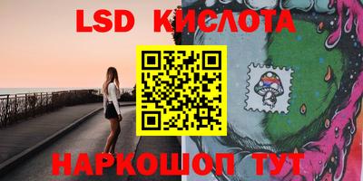 прущие грибы Краснознаменск