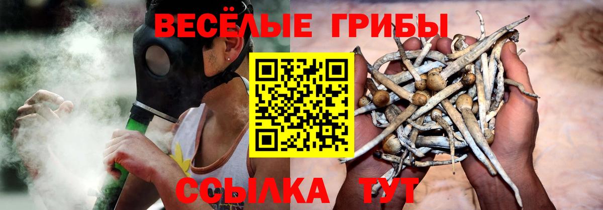 Псилоцибиновые грибы мухоморы  Вход с VPN  Можга 